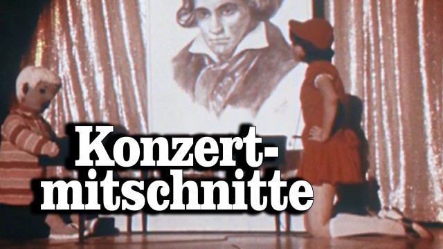 Amateur-Konzertmitschnitte auf Webvideoplattformen